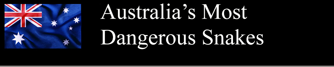 Australia's Most Dangerous Snakes