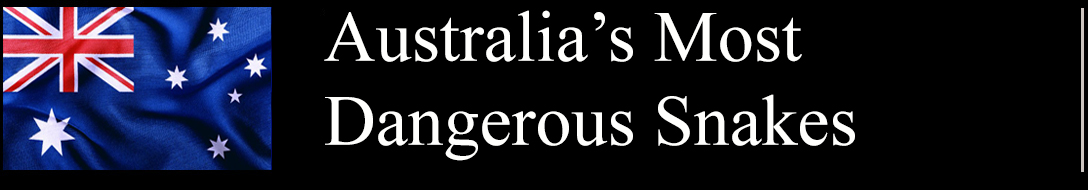 Australia's Most Dangerous Snakes